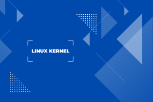 Read more about the article Kernel Linux 6.9 Telah Dirilis: Menyajikan Perbaikan yang Signifikan