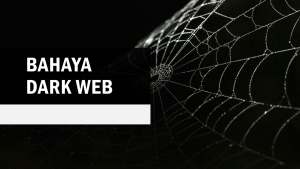 Read more about the article Politisi Eropa: Bahaya di Balik Dark Web