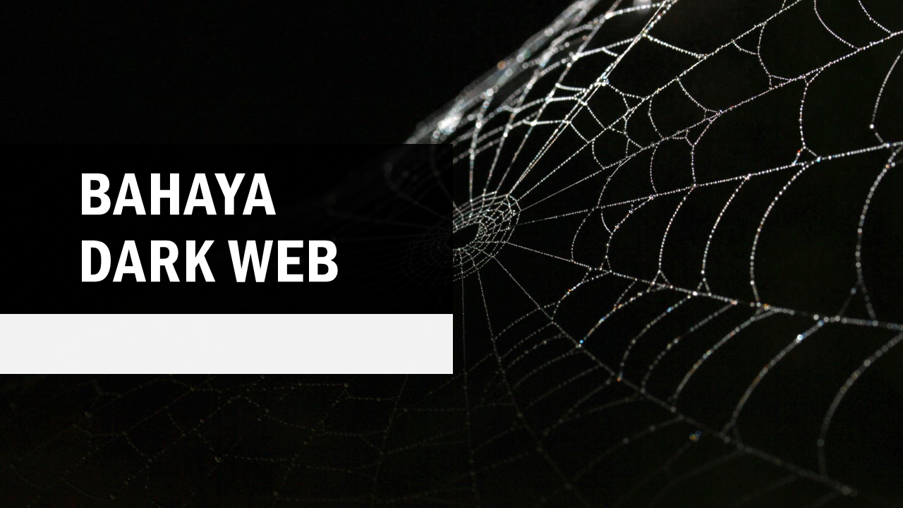 Read more about the article Politisi Eropa: Bahaya di Balik Dark Web