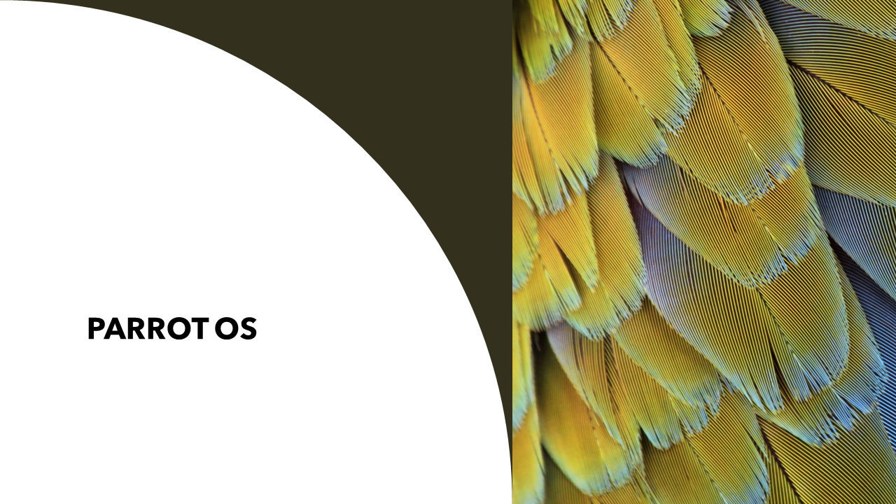 Read more about the article Parrot OS 6.1: Memperkuat Keamanan dengan Dukungan Raspberry Pi 5