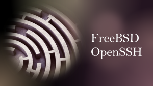 Read more about the article FreeBSD Merilis Patch Penting untuk Kerentanan OpenSSH dengan Tingkat Keparahan Tinggi